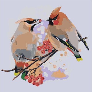Картина по номерам «Птицы на ветке»
