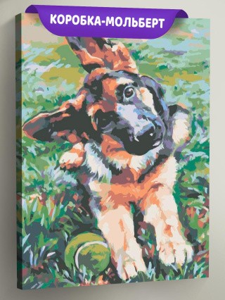 Картина по номерам «Овчарка» Картина по номерам «Овчарка»