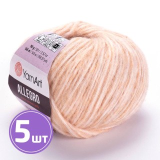 Пряжа YarnArt Allegro (704), мультиколор, 5 шт. по 50 г Пряжа YarnArt Allegro (704), мультиколор, 5 шт. по 50 г