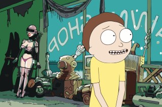 Картина по номерам «Рик и Морти: Девушка-робот»