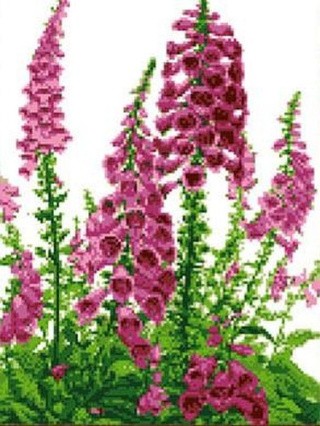 Рисунок на ткани «Яркий мир» Рисунок на ткани «Яркий мир»