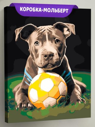 Картина по номерам «Собака Стаффорд (Стаффордширский терьер) щенок»