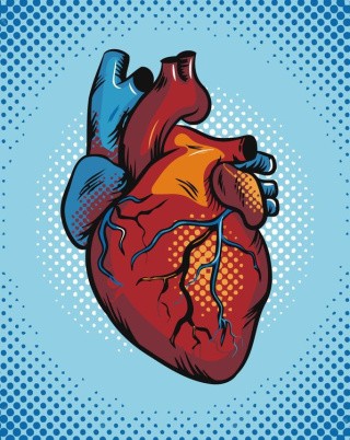 Картина по номерам «Сердце»