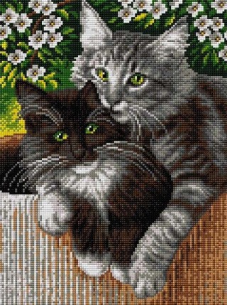 Алмазная вышивка «Лямур»