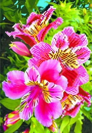 Рисунок на шелке «Лилии розовые»