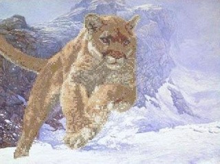 Рисунок на ткани «Пума» Рисунок на ткани «Пума»