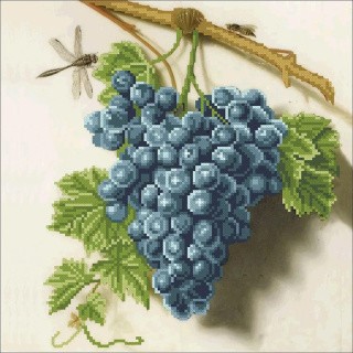 Рисунок на ткани «Виноградная гроздь»