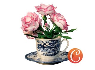 Набор фоамирана «Хельга. Дикие розы» Набор фоамирана «Хельга. Дикие розы»