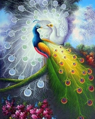 Картина по номерам «Пара павлинов» Картина по номерам «Пара павлинов»