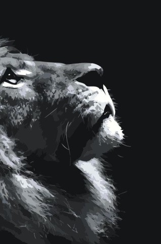 Картина по номерам «Гордый лев»