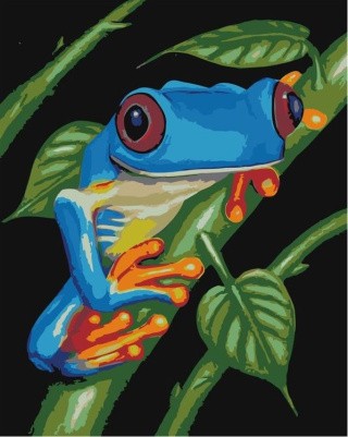 Картина по номерам «Яркая лягушка» Картина по номерам «Яркая лягушка»