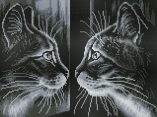 Алмазная вышивка «Отражение» Алмазная вышивка «Отражение»