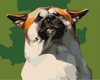 Картина по номерам «Довольный пёс»