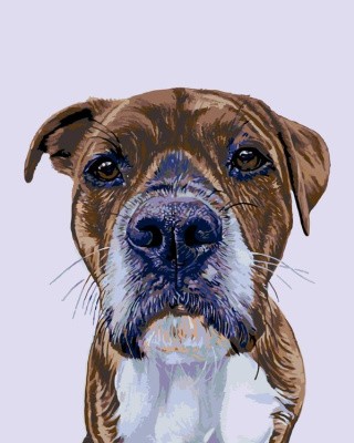 Картина по номерам «Амир» Картина по номерам «Амир»