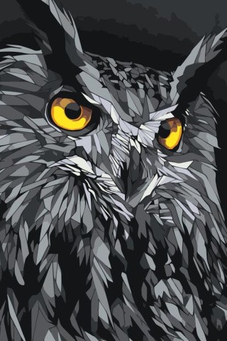Картина по номерам «Взгляд совы»