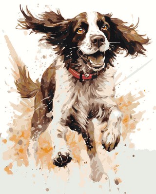 Картина по номерам «Собака Спаниель в прыжке»