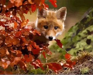 Картина по номерам «Хитрый лисёнок» Картина по номерам «Хитрый лисёнок»