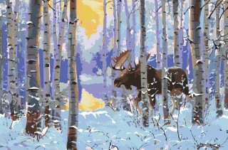 Картина по номерам «Лось в зимнем лесу»