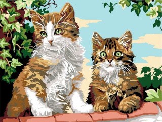 Картина по номерам «Котята на заборе»