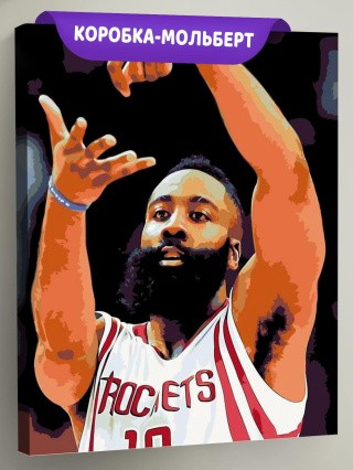 Картина по номерам «Джеймс Харден»