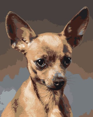 Картина по номерам «Собаки: Той терьер 40x50» Картина по номерам «Собаки: Той терьер 40x50»