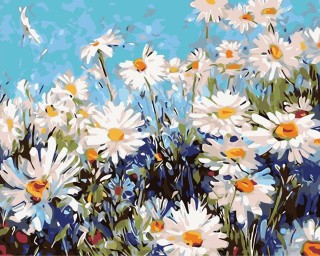 Картина по номерам «Полевые ромашки» Картина по номерам «Полевые ромашки»