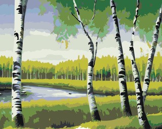 Картина по номерам «Природа: Пейзаж с березами у реки 2»
