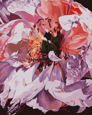 Картина по номерам «Лесной пион» Картина по номерам «Лесной пион»