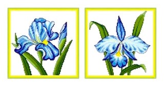 Набор для вышивания «Ирис и орхидея»