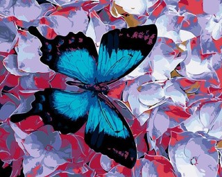 Картина по номерам «Бабочка»