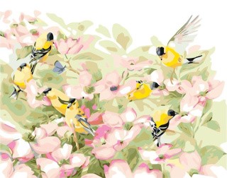 Картина по номерам «Весенние птицы» Картина по номерам «Весенние птицы»