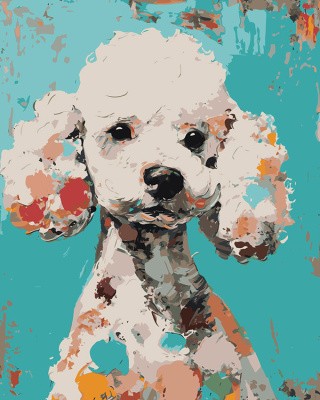 Картина по номерам «Собака пудель щенок арт 40х50»