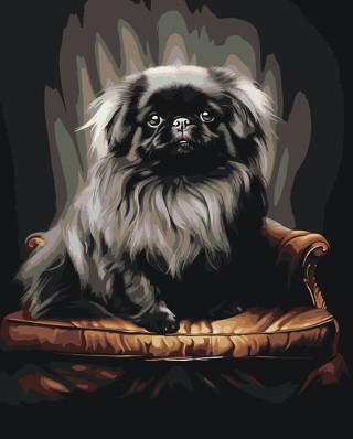 Картина по номерам «Собака черный Пекинес на кресле»