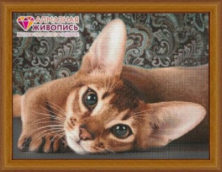 Алмазная вышивка «Абиссинская кошка» Алмазная вышивка «Абиссинская кошка»
