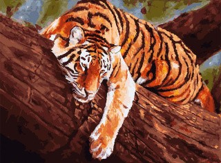 Картина по номерам «Тигр на дереве»