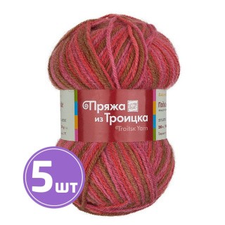 Пряжа из Троицка Подмосковная (4426), секционный, 5 шт. по 100 г Пряжа из Троицка Подмосковная (4426), секционный, 5 шт. по 100 г