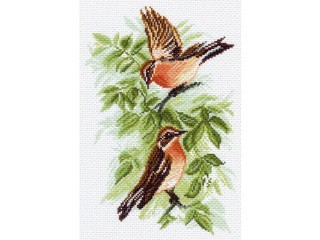 Рисунок на канве «Луговой чекан» Рисунок на канве «Луговой чекан»