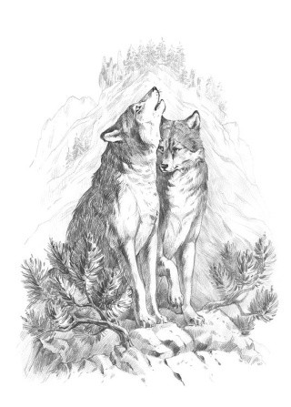 Скетч для раскрашивания чернографитными карандашами «Волки в горах»