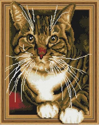 Алмазная вышивка 5D «Усатый полосатый» Алмазная вышивка 5D «Усатый полосатый»