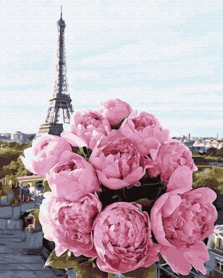 Картина по номерам «Нежные розовые пионы»