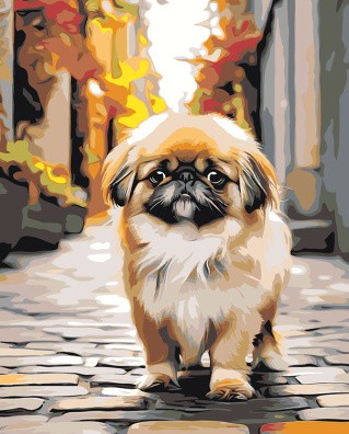 Картина по номерам «Собака Пекинес гуляет по городу 3»