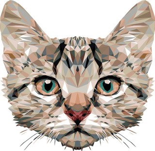 Картина по номерам «Векторный кот»