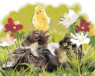 Картина по номерам «Котёнок и цыплёнок»