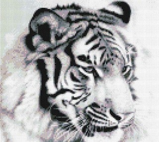 Алмазная вышивка «Белый тигр»