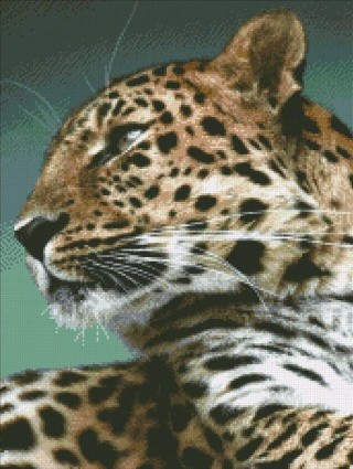 Алмазная вышивка «Спокойствие» Алмазная вышивка «Спокойствие»