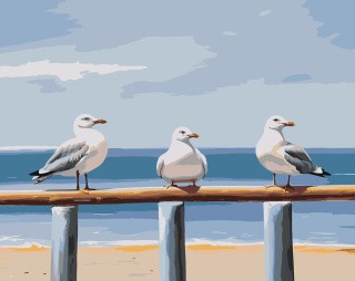 Картина по номерам «Море: Чайки на пляже 2»
