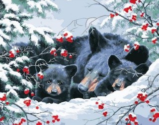 Картина по номерам «Медведица с медвежатами» Картина по номерам «Медведица с медвежатами»