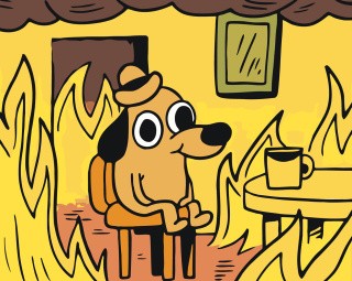 Картина по номерам «Мем: This is fine»