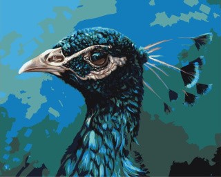 Картина по номерам «Голова павлина» Картина по номерам «Голова павлина»