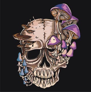 Картина по номерам «Помнить о времени» Картина по номерам «Помнить о времени»